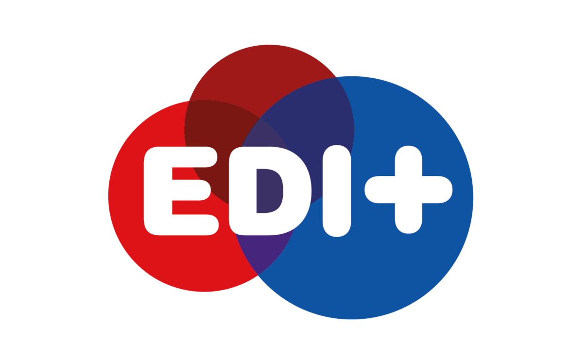 EDI+ (A research, innovation and training network for Equality, Diversity and Inclusion in the energy research community)